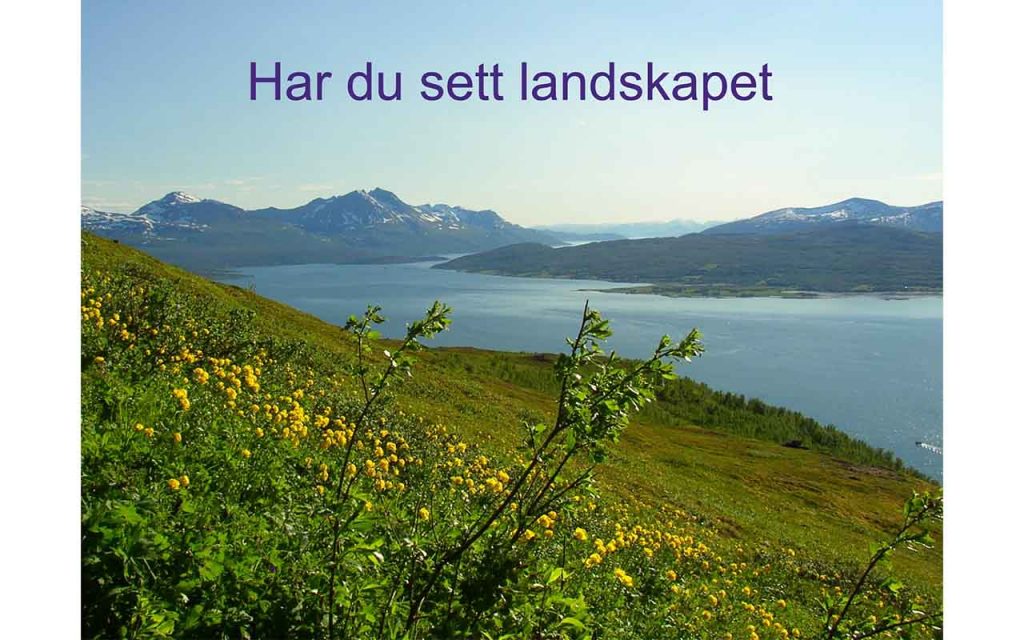 En blomstereng i en skråning ned mot sjøen, og med fjell i bakgrunnen. Foto.